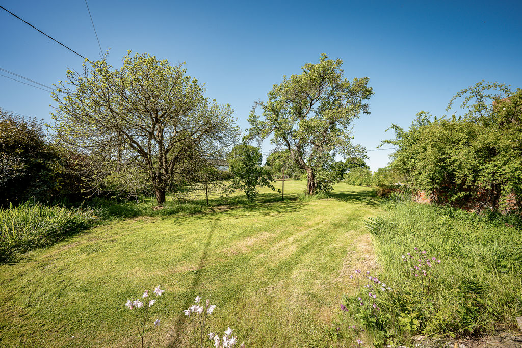 Garden- click for photo gallery